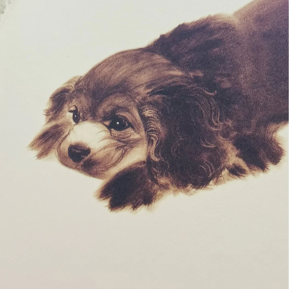 NEW Barkis Hardcover Classic Children’s Picture Book - Picture 9 of 11